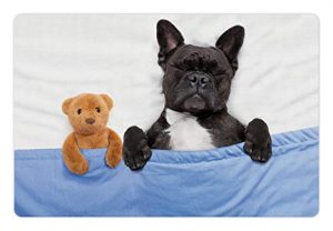 Frenchie-eye-booger-explained